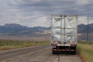 Back of the Haulin Assets semi truck